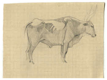 Visualizza l'immagine "FD D 366"